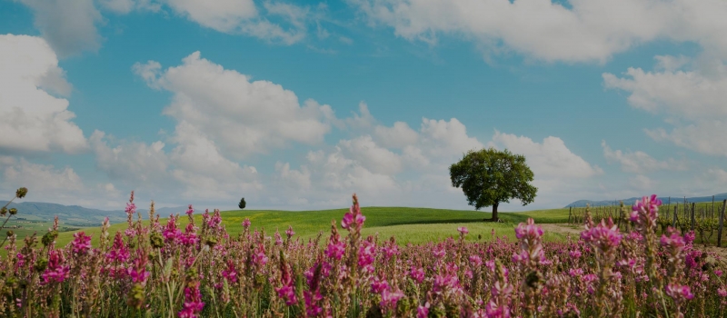 lutto-header lutto-header